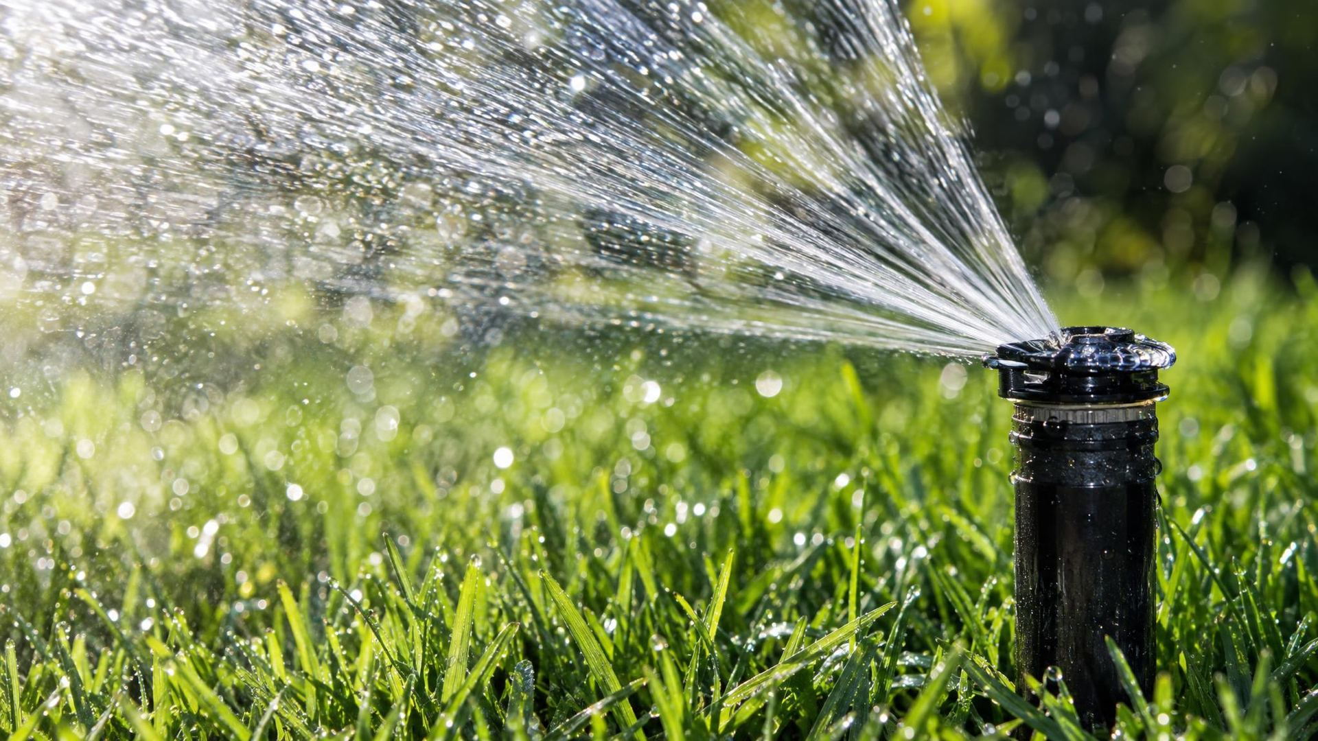 Sprinkler repair that finds the real problem